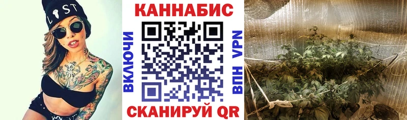 Где купить наркотики Ковров COCAIN Марихуана A PVP ГАШ Мефедрон