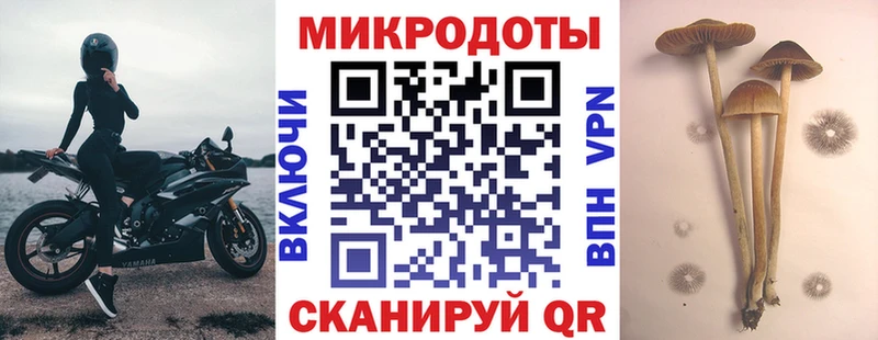Галлюциногенные грибы GOLDEN TEACHER omg рабочий сайт Ковров