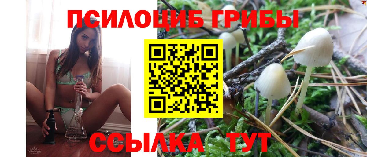хочу   Вход с VPN  Ковров  Псилоцибиновые грибы Psilocybine cubensis 